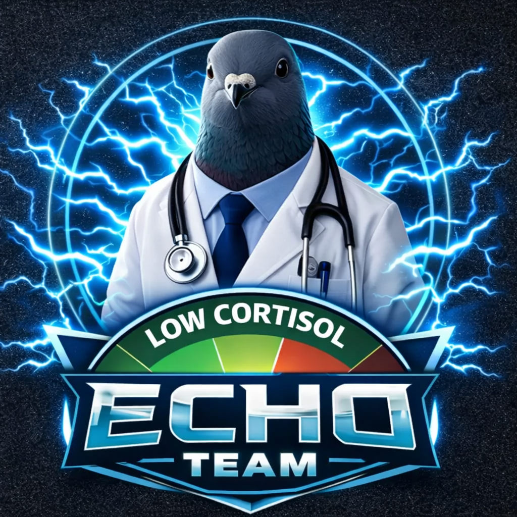 ECHO TEAM